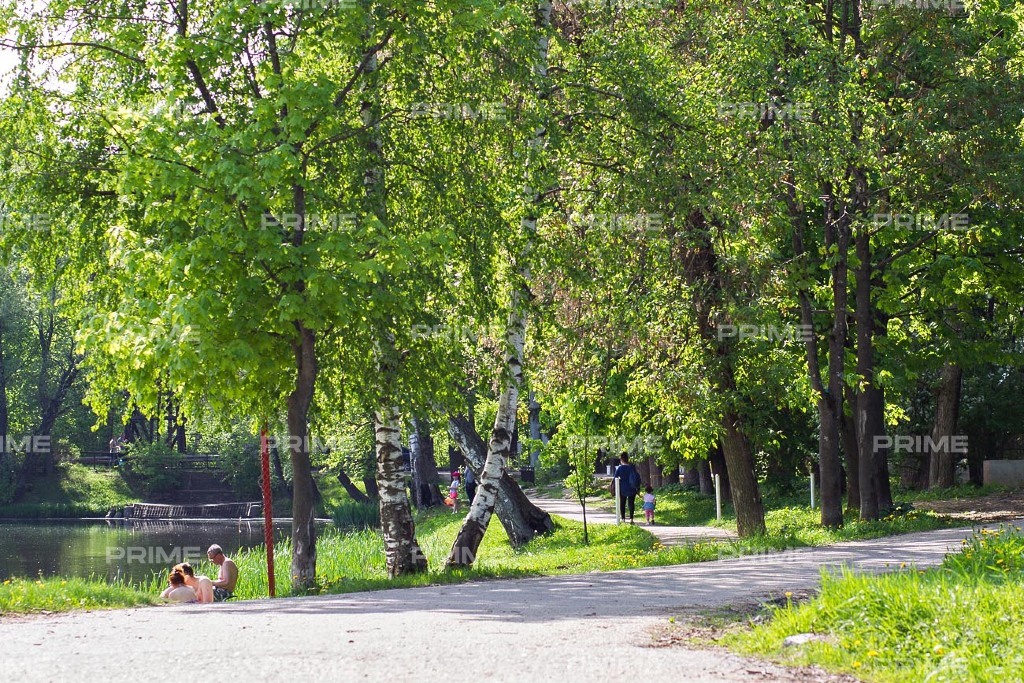 на Минском шоссе Фото 4282